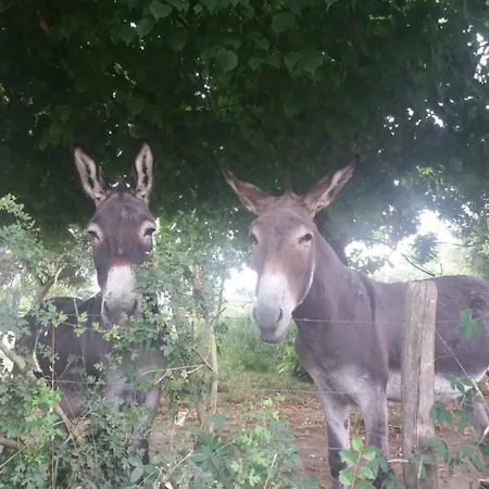 キャンプ場 Kerflaveur