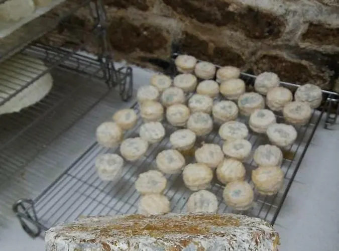 Kerflaveur אתר קמפינג