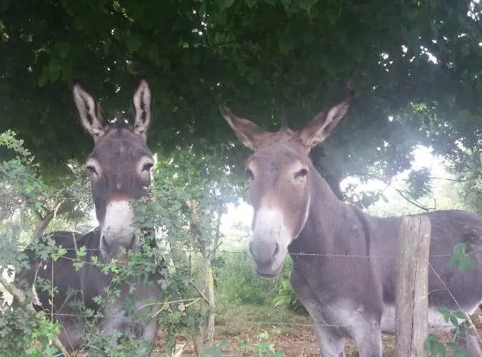 Campeggio Kerflaveur